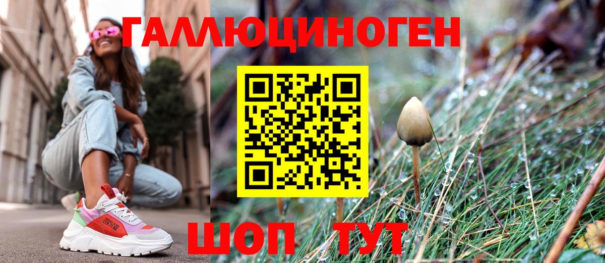 Галлюциногенные грибы Psilocybine cubensis  Вход с VPN  Муравленко 