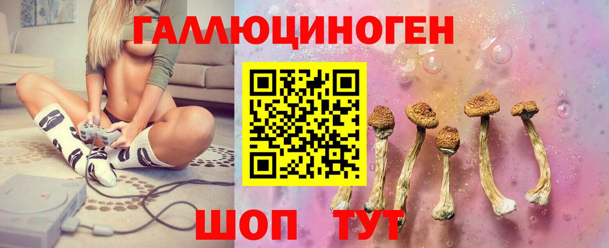 Псилоцибиновые грибы прущие грибы Муравленко